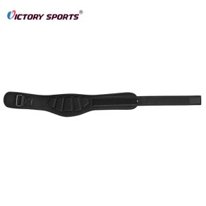 Weightlifting Belt