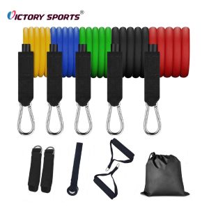 Fitness Expander Set