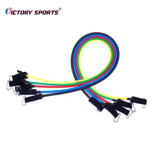 Fitness Expander Set