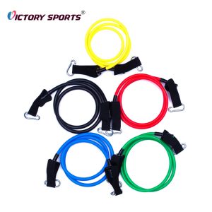 Fitness Expander Set