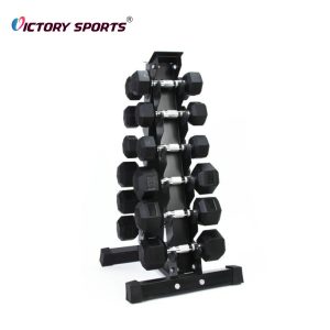 a frame dumbbell rack 1