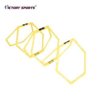 Hex Speed Ladder VTR-9012