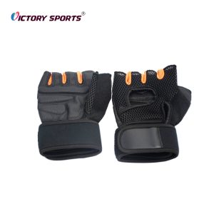 Training Gloves