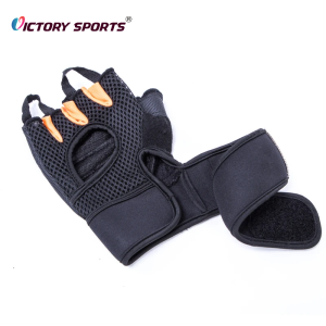 Training Gloves