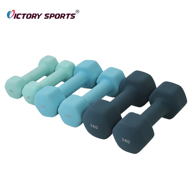 Vinyl Hex Dumbbell VDB-321