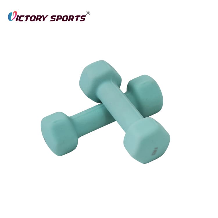Vinyl Hex Dumbbell VDB-321 - Image 6