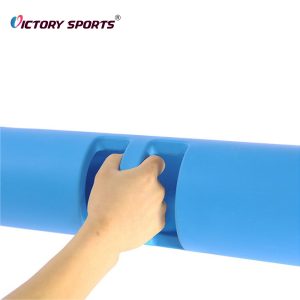 vipr
