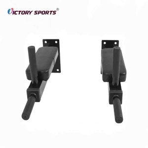 Wall Mounted Pull Up Rack