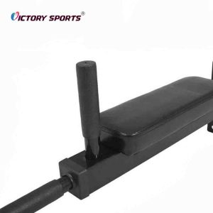 Wall Mounted Pull Up Rack
