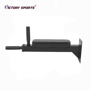 Wall Mounted Pull Up Rack
