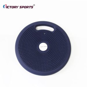 Wobble Cushion