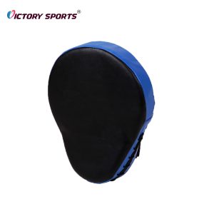 punching mitts 1