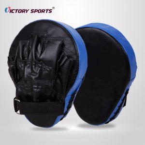 Punching Mitts