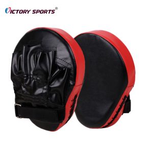 Punching Mitts