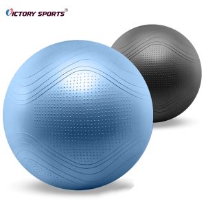 exercise yoga ball 2