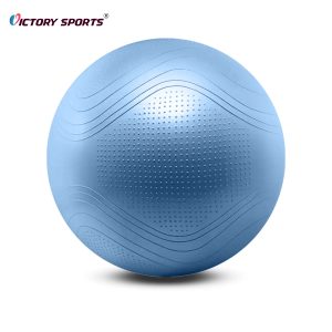 exercise yoga ball 3