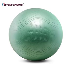 exercise yoga ball 4