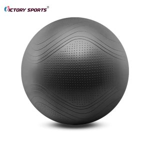 exercise yoga ball 5