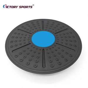 Balance Board VBB-419