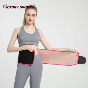 waist support 2