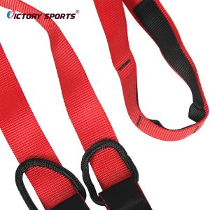 Suspension Training Kit
