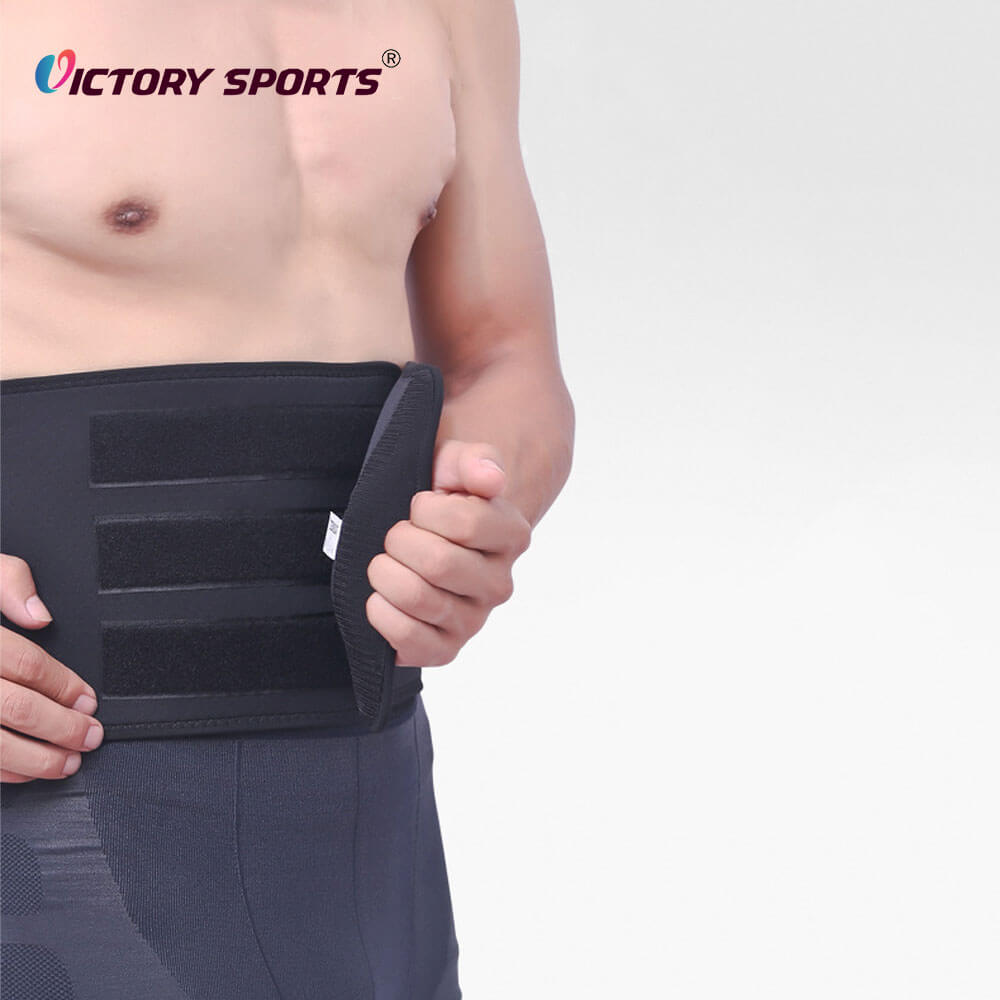 Back Support Belt