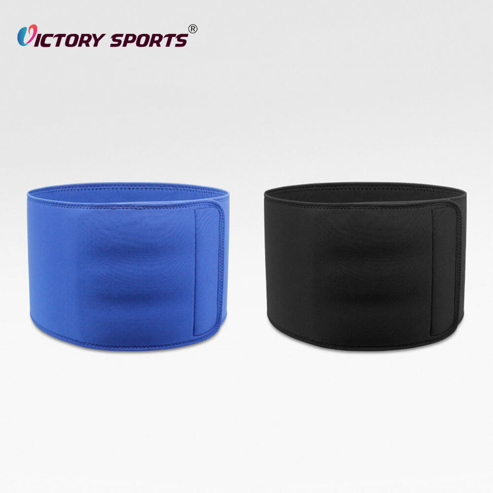 Back Support Belt
