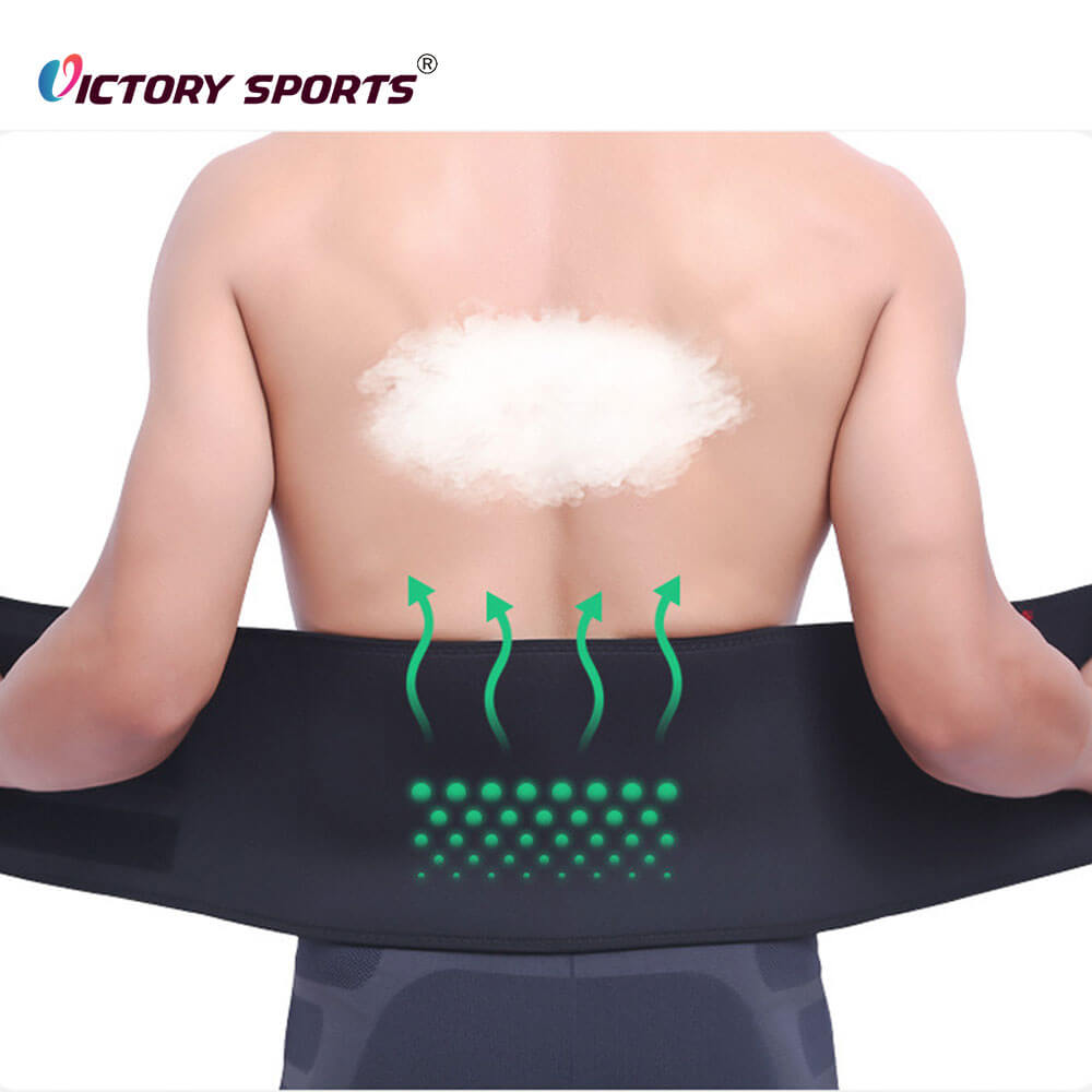 Back Support Belt
